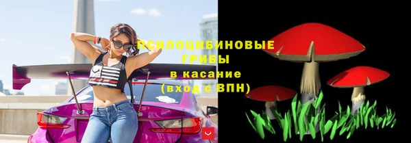 СК Алексеевка