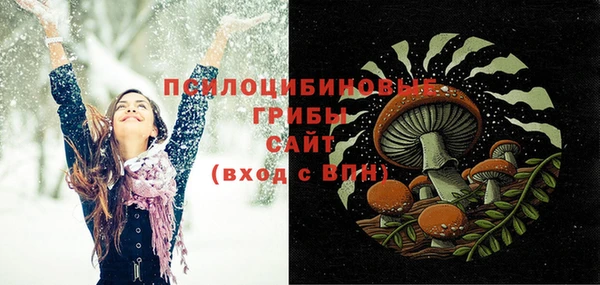 СК Алексеевка