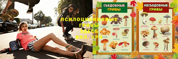 таблы Алзамай