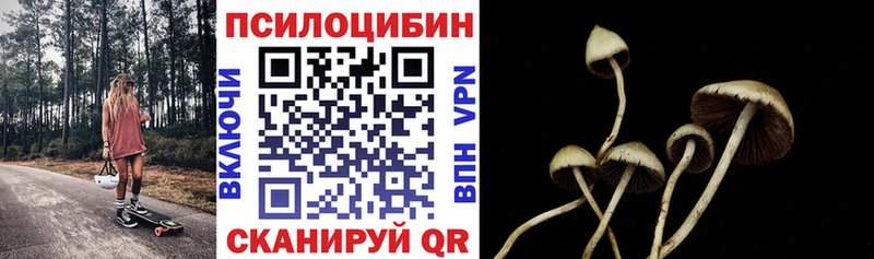 Галлюциногенные грибы мухоморы Южно-Сухокумск