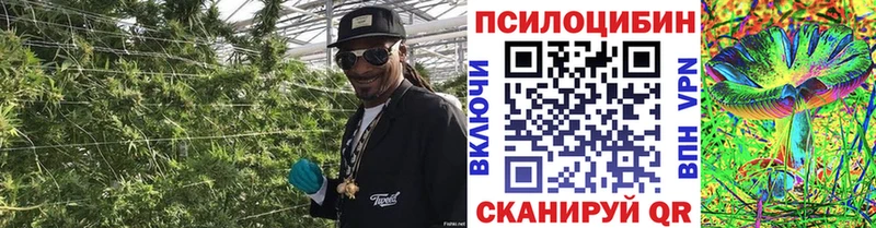 где продают наркотики Южно-Сухокумск Галлюциногенные грибы прущие грибы